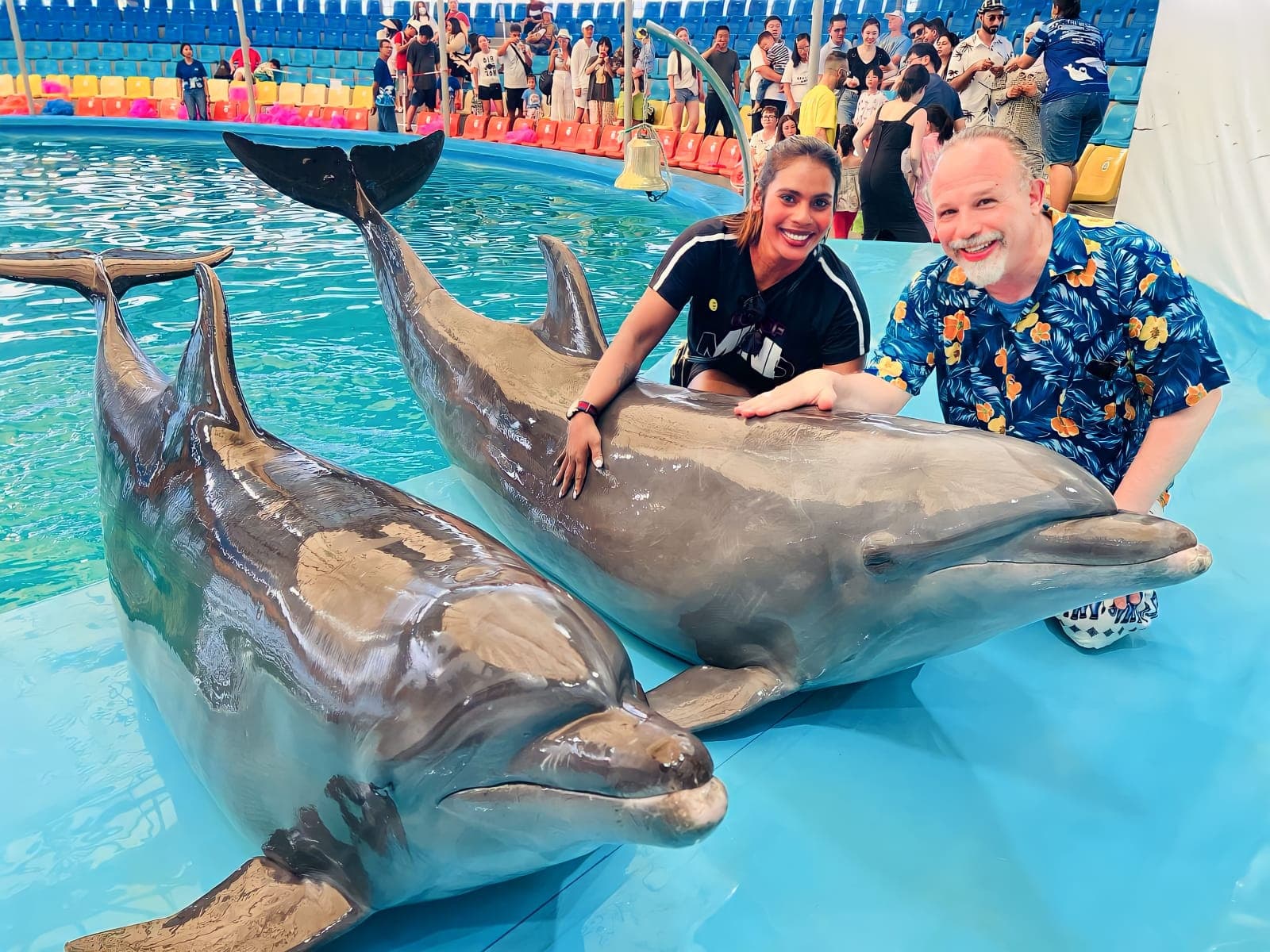 Dolphins are astonishing creatures.