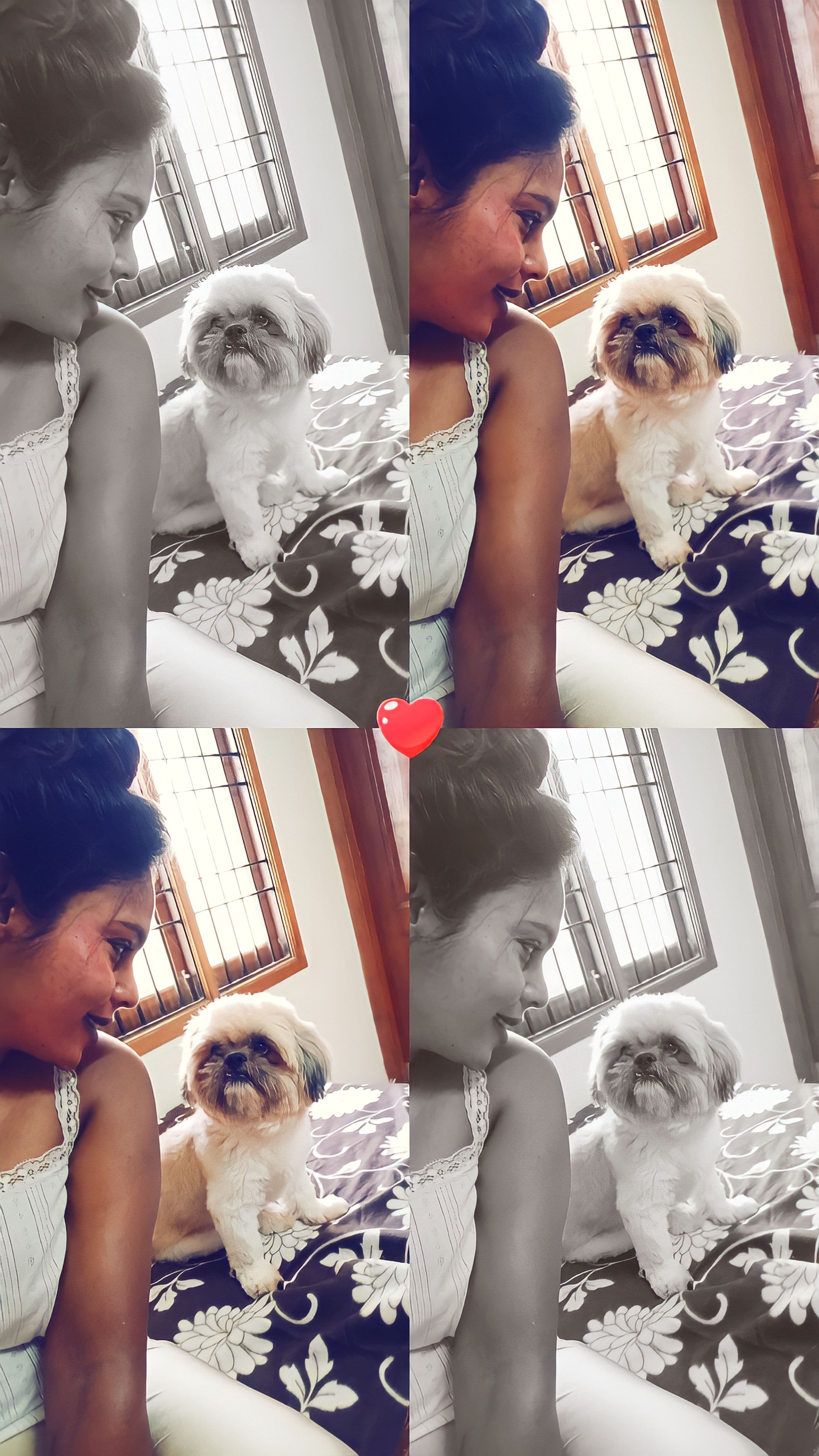 Niru's doggy, JD